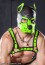 Mr. S Leather Neoprene K9 Hood Lime