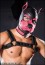 Mr. S Leather Neoprene K9 Hood Pink