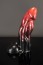 Twisted Beast Bael Dildo Demon Blood (Ombre) Medium