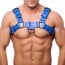 The Red Bulldog Leather Harness Blue