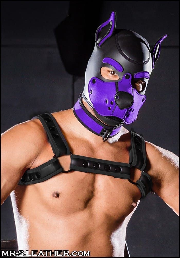 Mr. S Leather Neoprene K9 Hood Purple