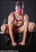 Mr. S Leather Neoprene K9 Hood Pink