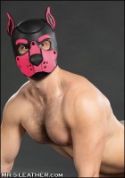 Mr. S Leather Neoprene K9 Hood Pink