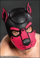 Mr. S Leather Neoprene K9 Hood Pink