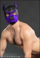 Mr. S Leather Neoprene K9 Hood Purple