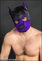 Psia maska Mr. S Leather Neoprene K9 Hood fialová