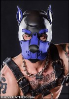 Mr. S Leather Neoprene K9 Hood Royal