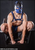 Mr. S Leather Neoprene K9 Hood Royal