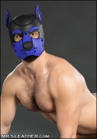 Mr. S Leather Neoprene K9 Hood Royal