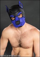 Mr. S Leather Neoprene K9 Hood Royal