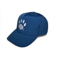 Prowler Hat Blue