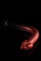 Twisted Beast The Serpent Dildo Demon Blood (Ombre) Small