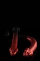 Twisted Beast The Serpent Dildo Demon Blood (Ombre) Small