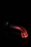 Twisted Beast The Serpent Dildo Demon Blood (Ombre) Small