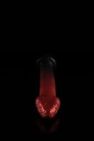 Twisted Beast The Serpent Dildo Demon Blood (Ombre) Small