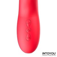 Intoyou Grant Multifunctional Vibrator