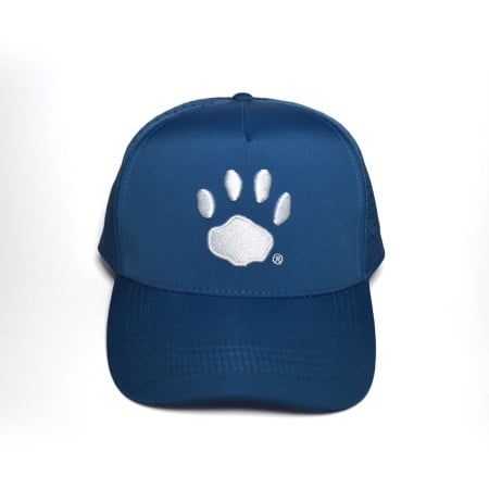 Prowler Hat Blue