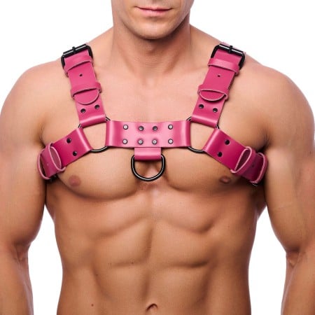 The Red Bulldog Leather Harness Pink