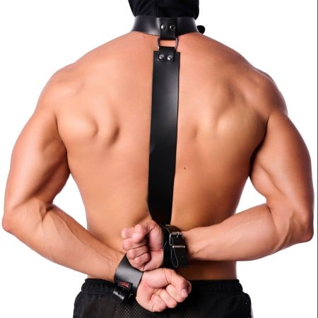 The Red Leather Collar with Restraints