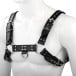 Postroj Slave4master Chest Harness čierny